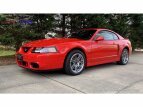 Thumbnail Photo 58 for 2003 Ford Mustang Cobra Coupe